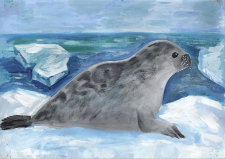 Балтийская кольчатая Нерпа для детей