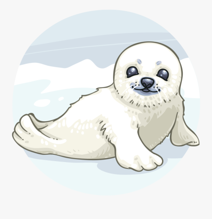 Байкальская Нерпа вектор