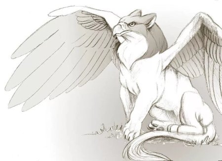 Грифон карандашом