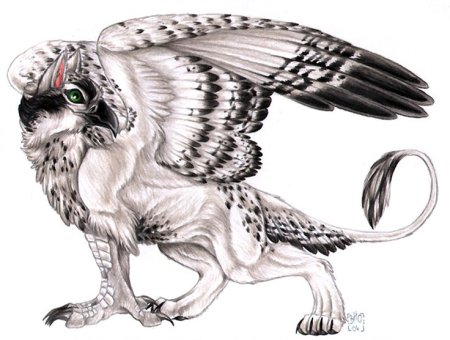 СБСМ Грифон