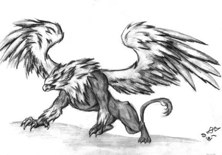 Гиппогриф мифология тату