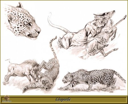 Роберт Даллет картины семейство псовых