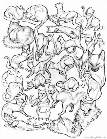 Позы кота для рисования