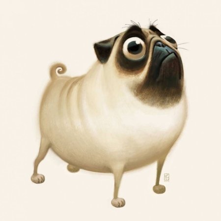 Забавные иллюстрации