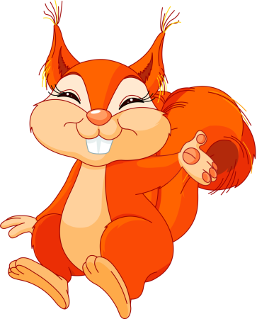 Белочка рисунок