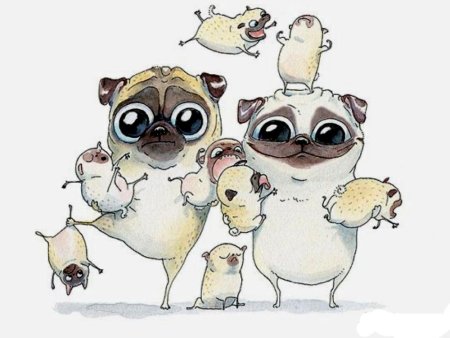 Доброе утро семья