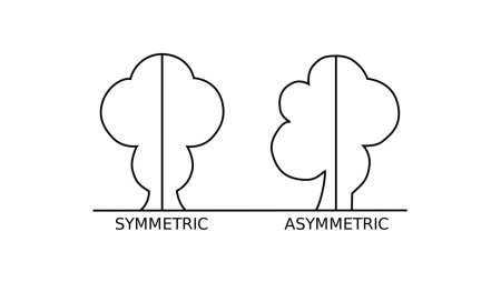Эшер картины антисимметрия
