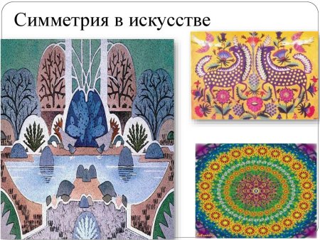 Бабочка — билатеральный гинандроморф.