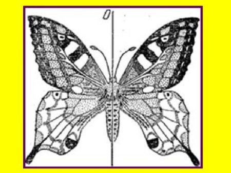 Симметрия в графике