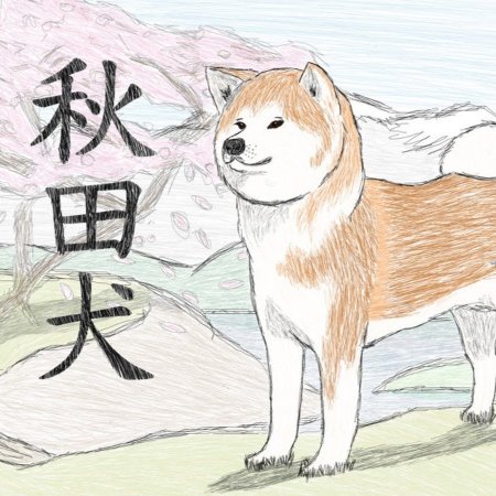 Акита ину срисовать