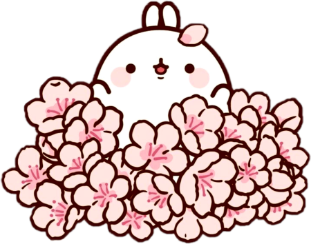 Корейский кролик Моланг