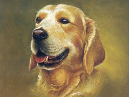 Картины с изображением собак