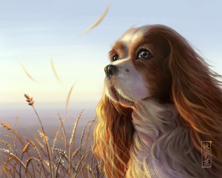 Алмазная мозаика кавалер Кинг Чарльз спаниель