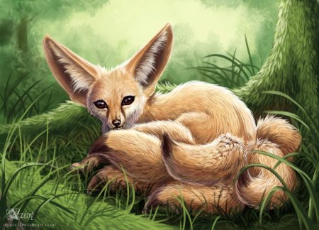 Девятихвостый Лис фенек