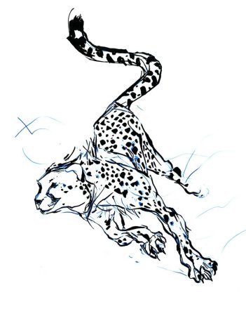 Животные рисунки