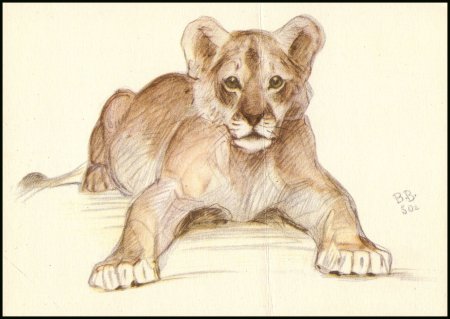 Животные в изобразительном искусстве