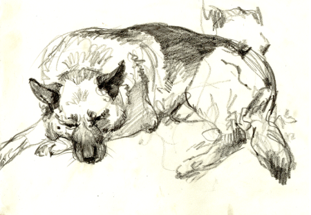 Акварель животных