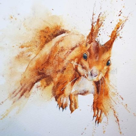 Зарисовки птиц