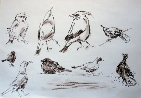 Юрий Яковлевич Яковлев багульник