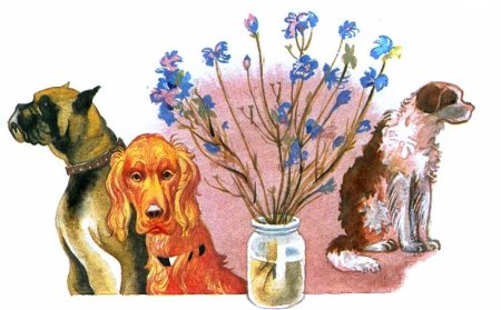 Собака лежит рисунок