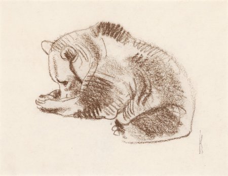 Зарисовка Академическая животные