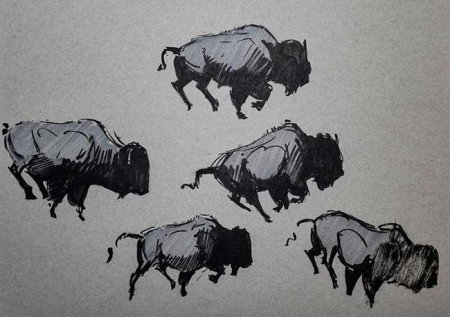 Реальная действительность животных рисунок