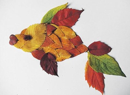 Аппликация из засушенных листьев