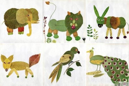 Детские аппликации из природного материала