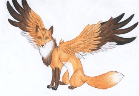 Лиса с крыльями мифология
