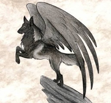 Симуран крылатый волк