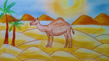 Пустыни и полупустыни животные