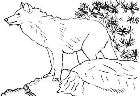 Дикие животные задания для дошкольников