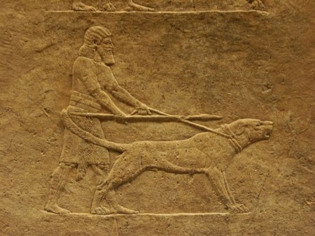 Ассирия охота на Львов рельеф