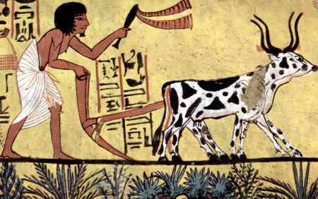 Земледельцы древнего Египта