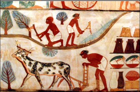 Египетские фрески земледелие