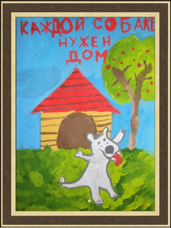 Собака ищет дом