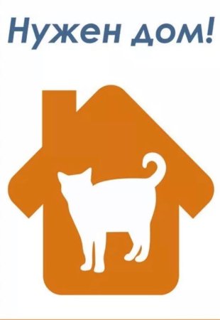 Кошке нужен дом