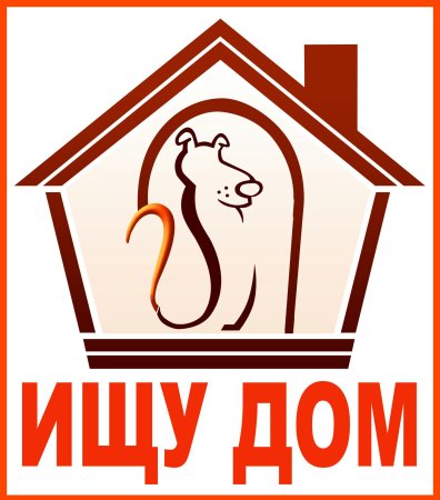 Собака ищет дом