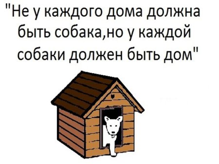 Животным нужен дом