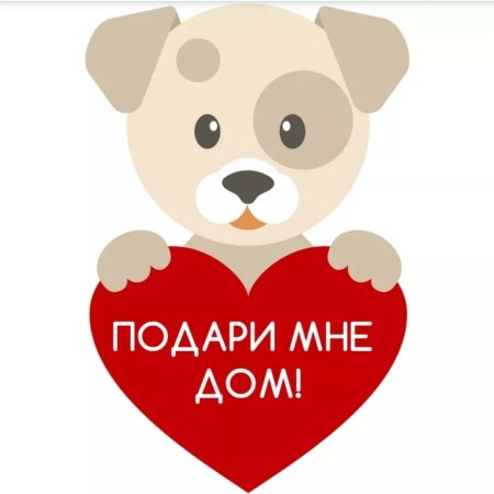 Щенки ищут дом