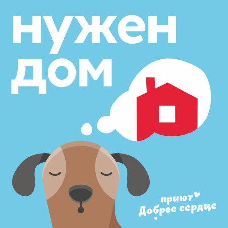 Щенкам нужен дом