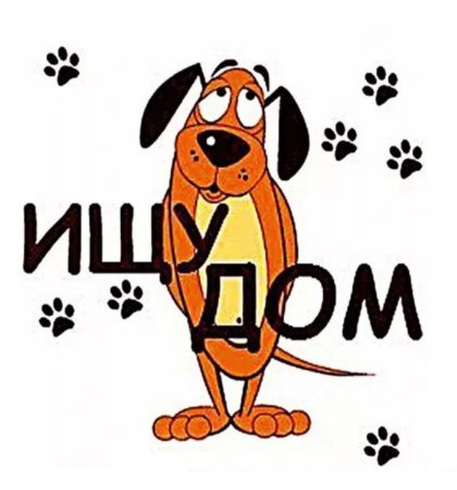 Щенки ищут дом