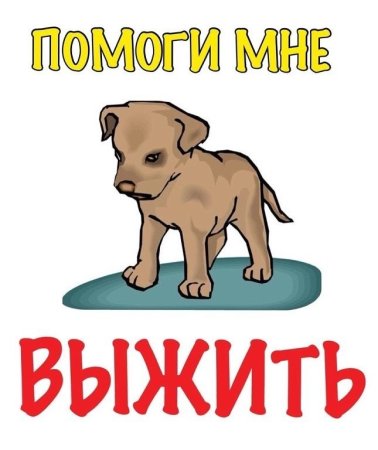 Щенкам нужна помощь