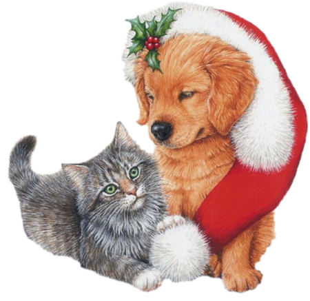 Новогодние котики и собачки