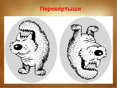 Игра перевёртыши с рисунками