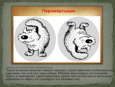 Оптические иллюзии перевертыши