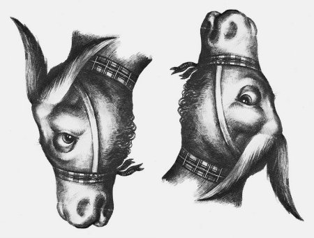 Несколько рисунков в одном рисунке
