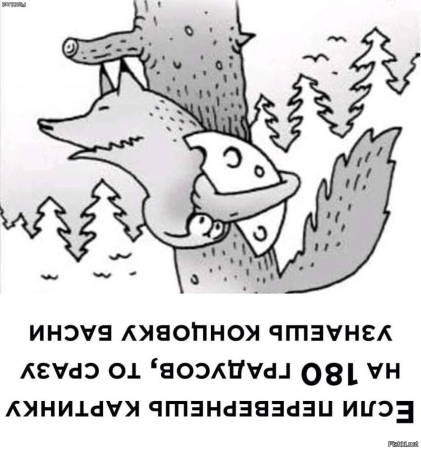 Оптическая иллюзия животные