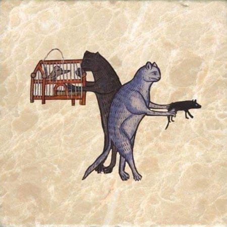 Страдающее средневековье кот