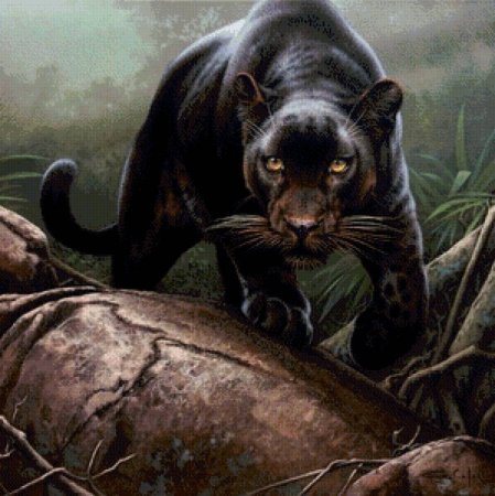 Sarah Stribbling Black Panther